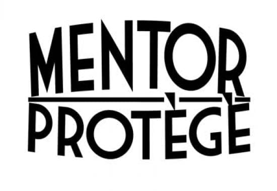 8a mentor protege program